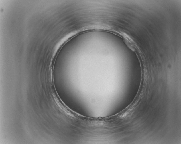 X0000053071238200508011932