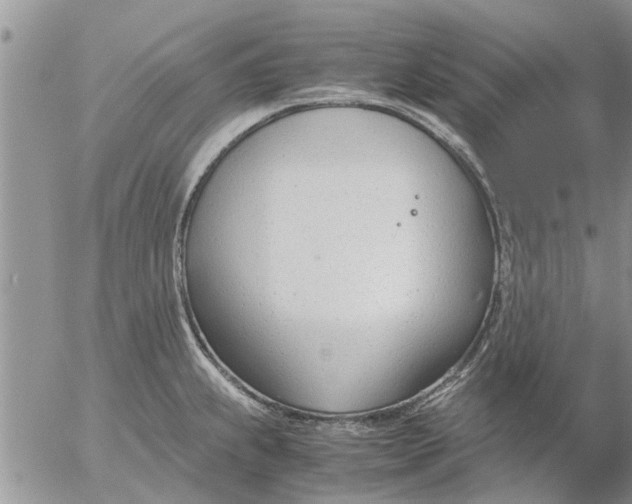 X0000053071239200508011932