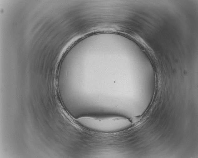 X0000053071240200508011932