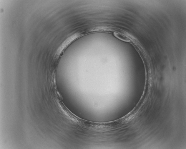 X0000053071241200508011932