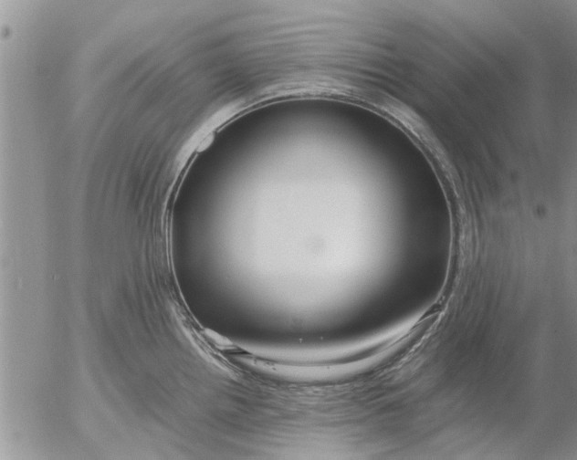 X0000053071242200508011932