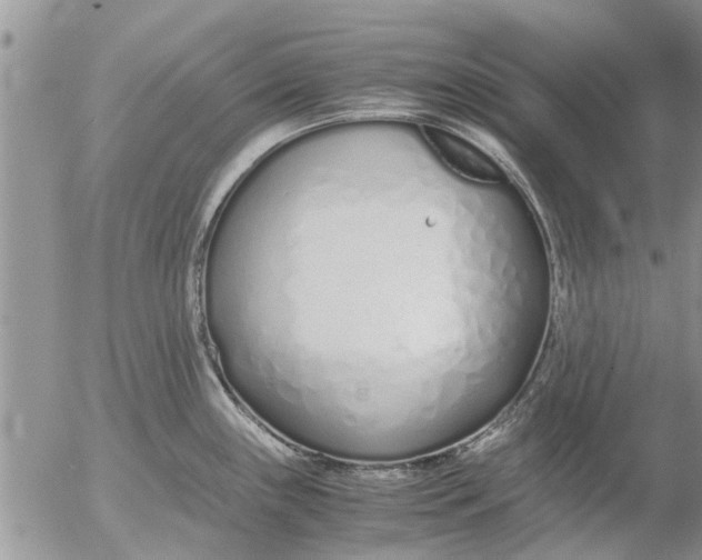 X0000053071243200508011932