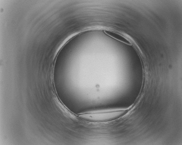 X0000053071244200508011932