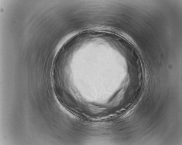 X0000053071247200508011932