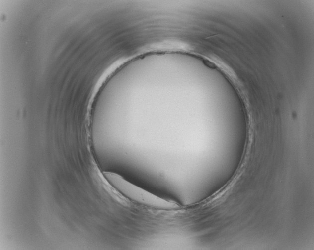 X0000053071248200508011932