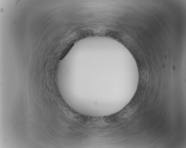 X0000053071249200508011931