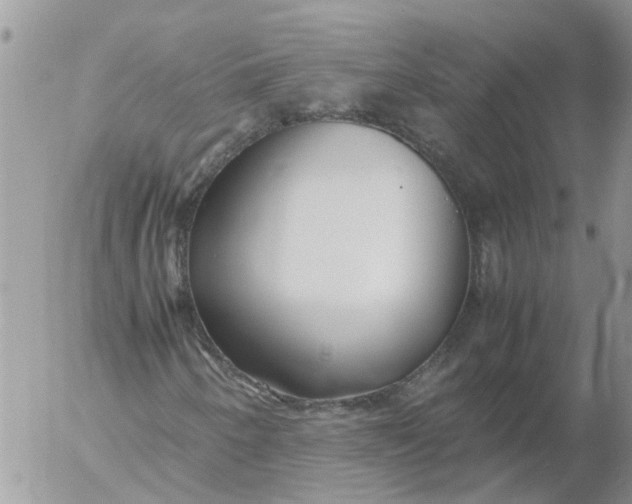 X0000053071250200508011931