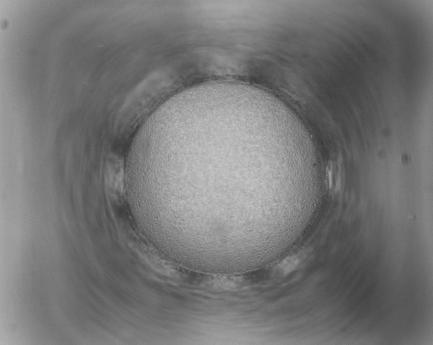 X0000053071251200508011931