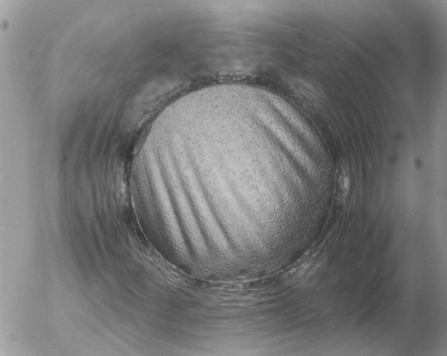 X0000053071252200508011931