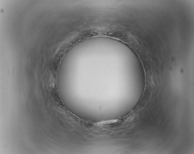 X0000053071253200508011931