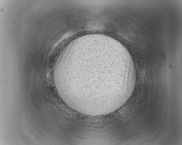 X0000053071254200508011931