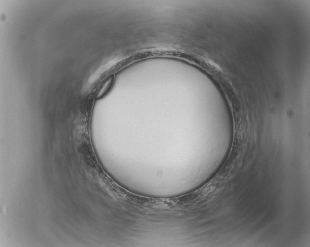 X0000053071255200508011931