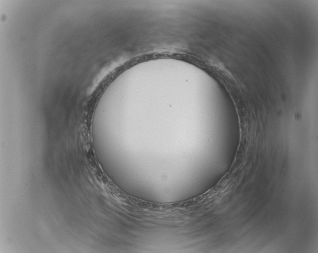 X0000053071256200508011931