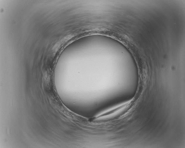 X0000053071257200508011931