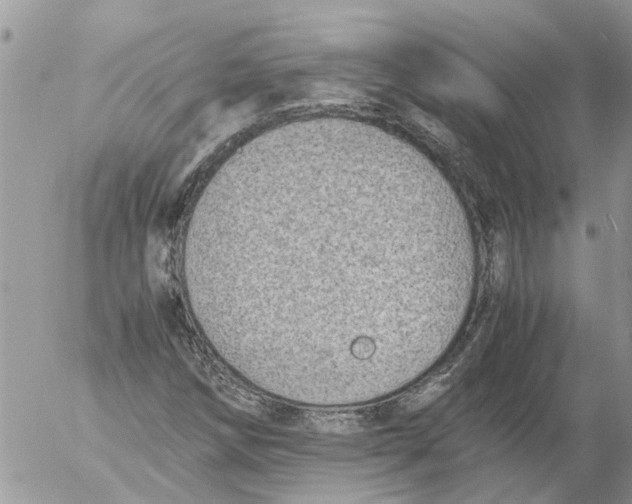 X0000053071258200508011931