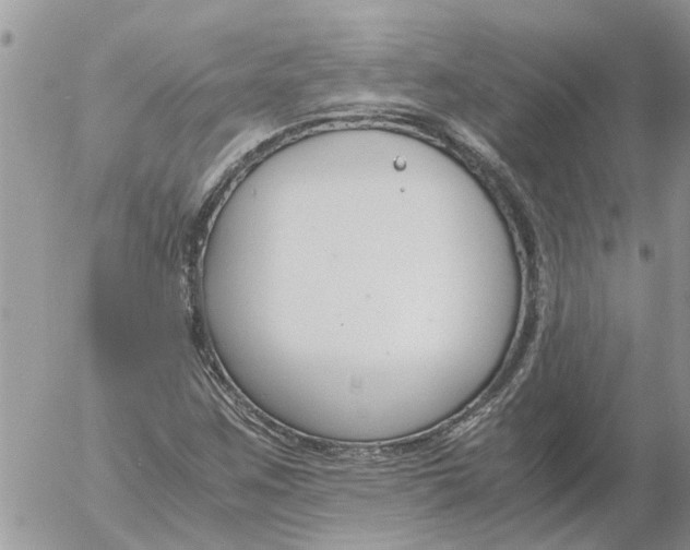 X0000053071259200508011931