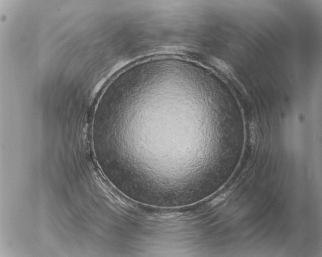 X0000053071260200508011931