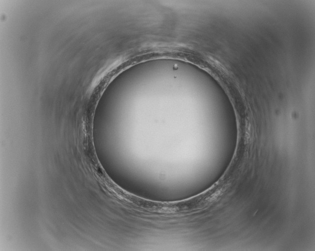 X0000053071261200508011931