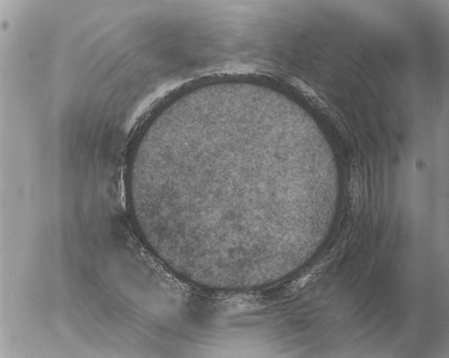 X0000053071262200508011931