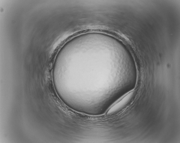 X0000053071263200508011931