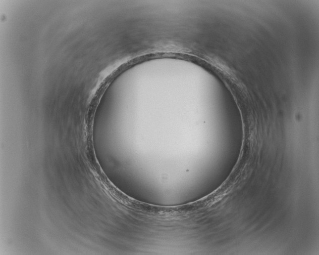 X0000053071264200508011931