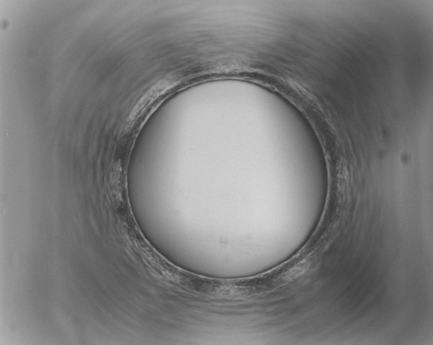 X0000053071265200508011931