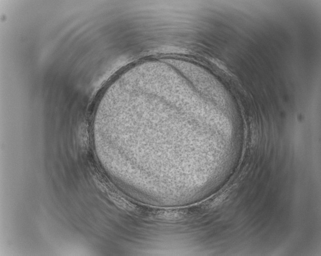 X0000053071266200508011931