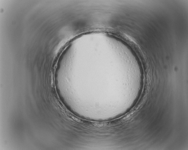 X0000053071267200508011931