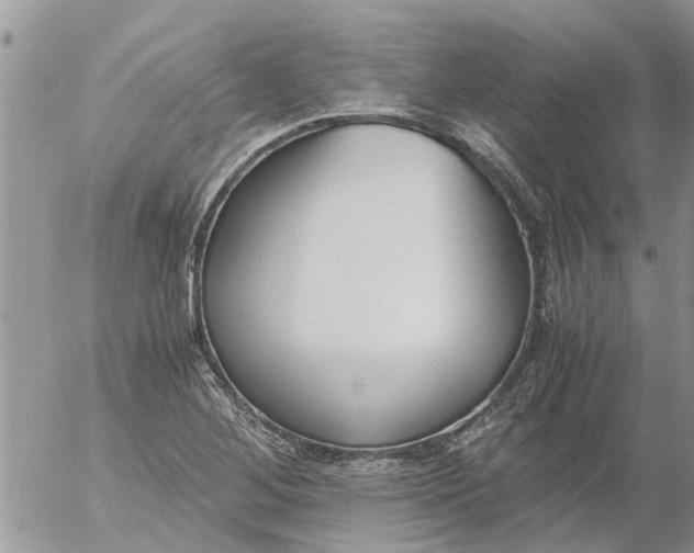 X0000053071268200508011931