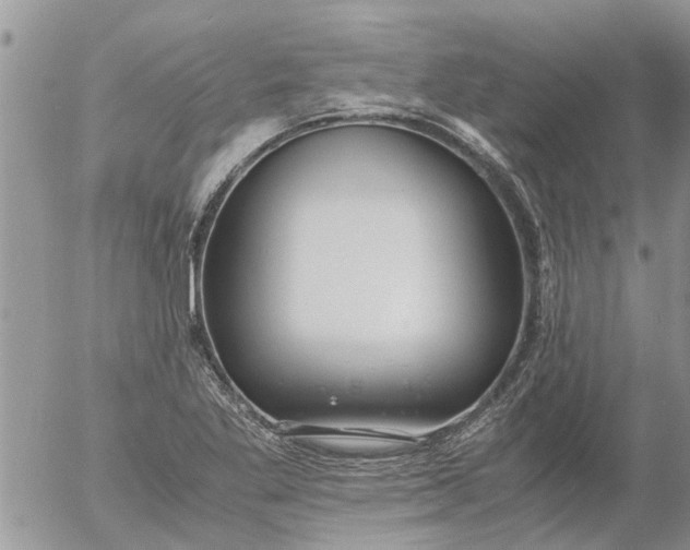 X0000053071269200508011931