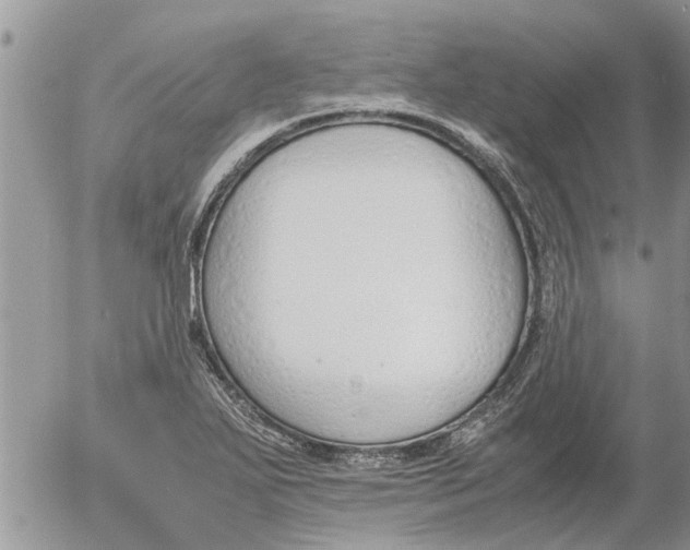 X0000053071271200508011931