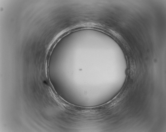 X0000053071272200508011931