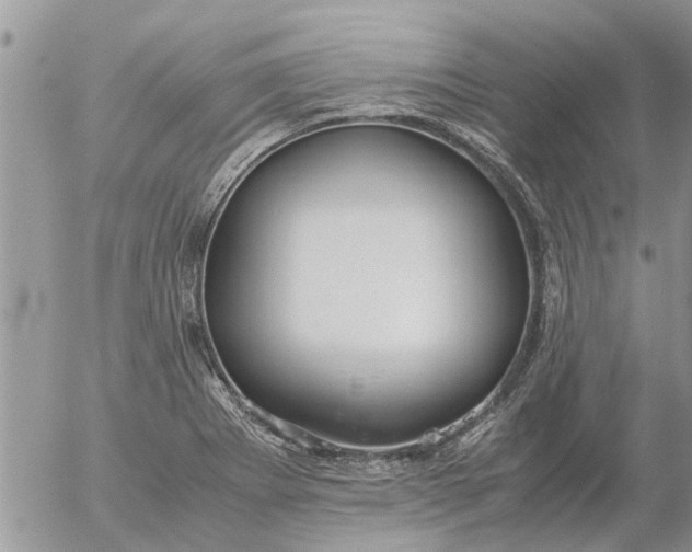 X0000053071273200508011931