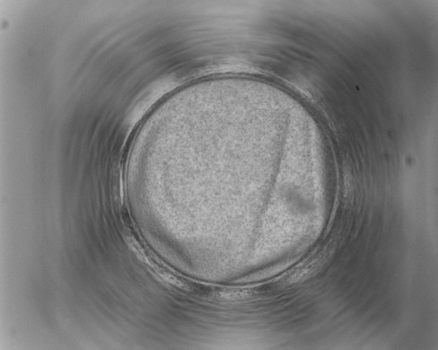 X0000053071274200508011930