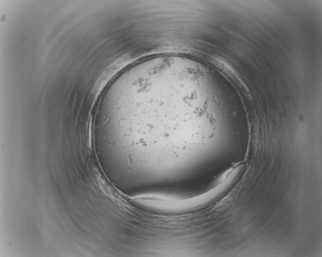 X0000053071276200508011930