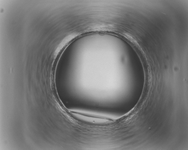 X0000053071277200508011930