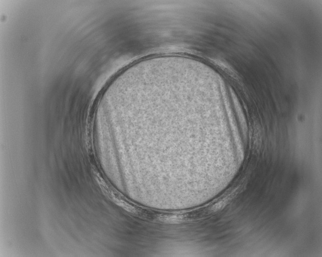 X0000053071278200508011930