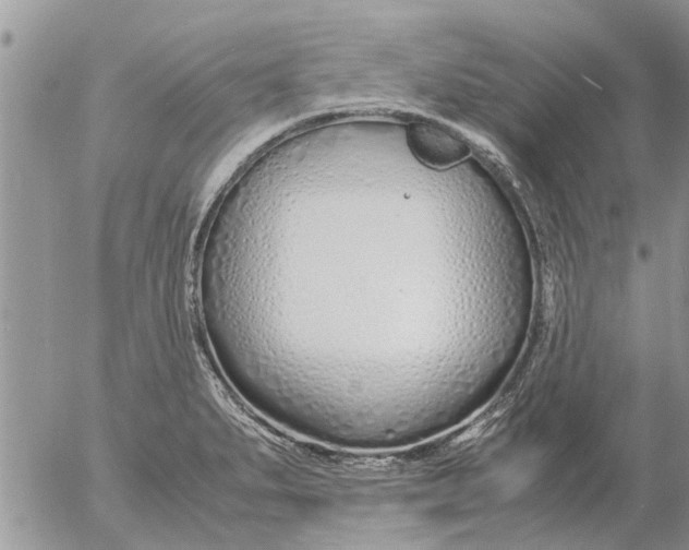 X0000053071279200508011930