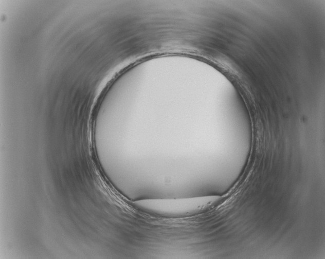 X0000053071280200508011930