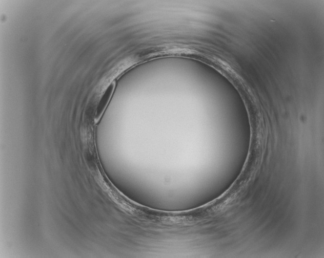 X0000053071281200508011930