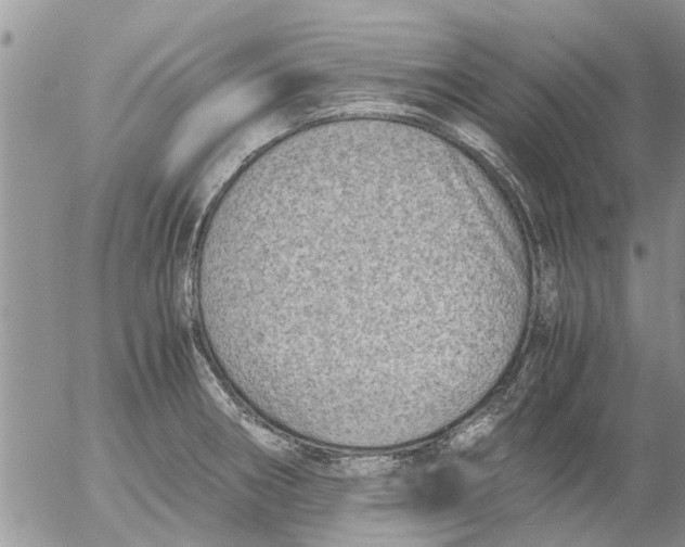 X0000053071282200508011930