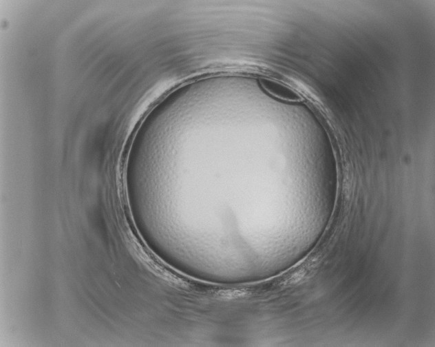 X0000053071283200508011930