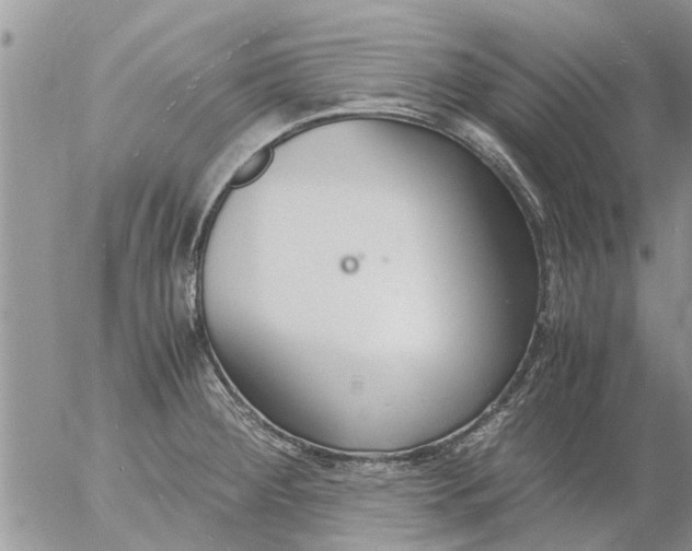 X0000053071284200508011930