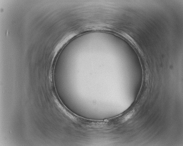 X0000053071285200508011930