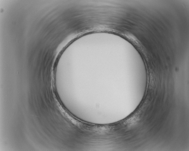 X0000053071286200508011930