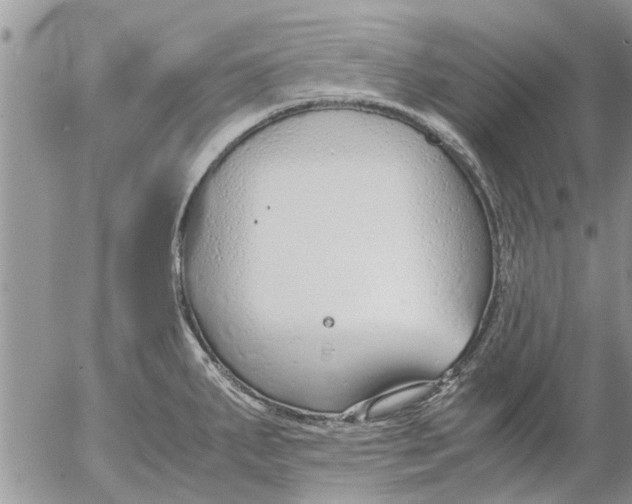 X0000053071287200508011930