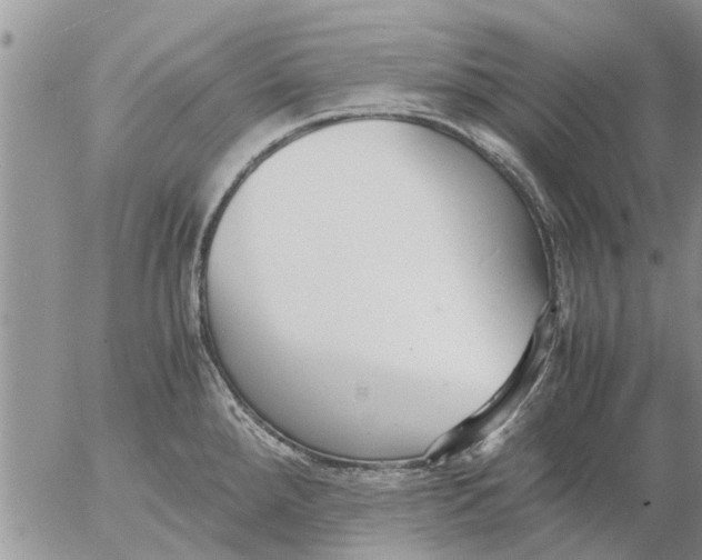 X0000053071288200508011930