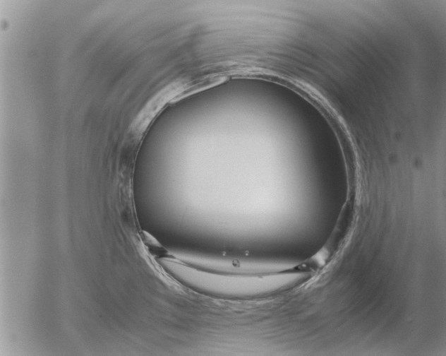 X0000053071289200508011930