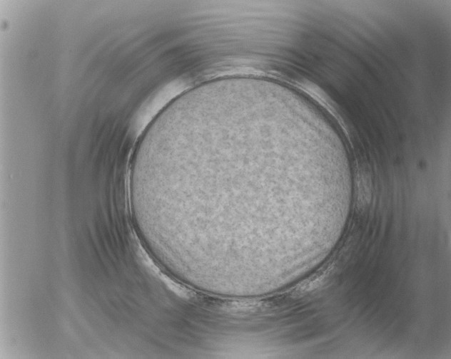 X0000053071290200508011930