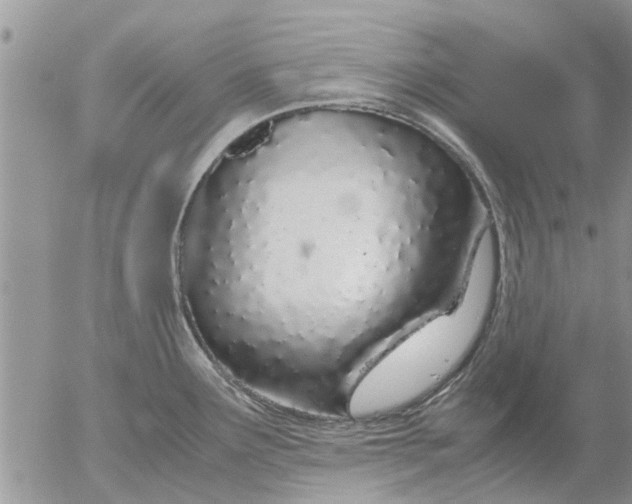 X0000053071291200508011930